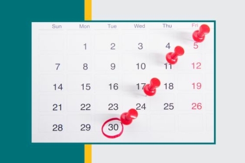2. Organise and plan