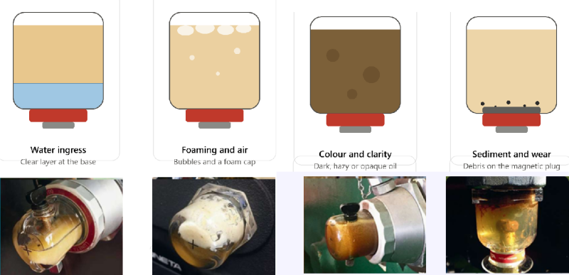 contamination causes