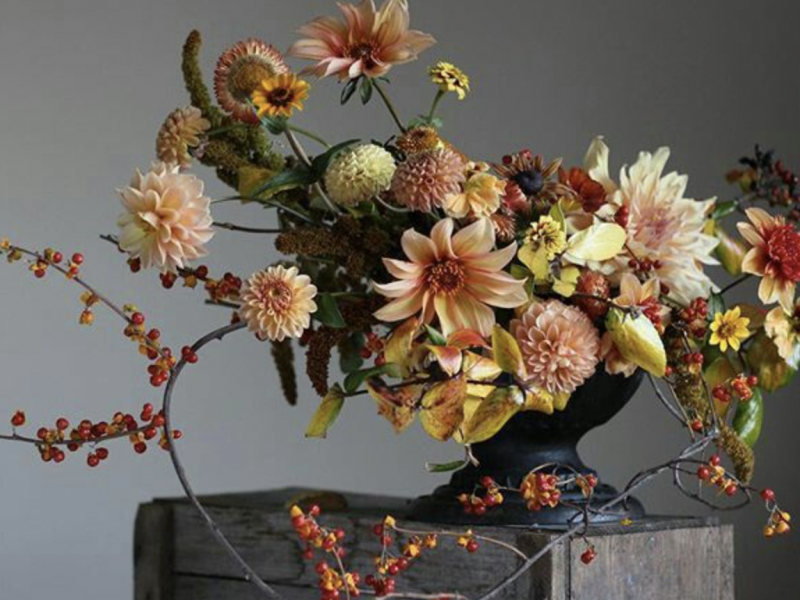 workshop herfst bloemschikken