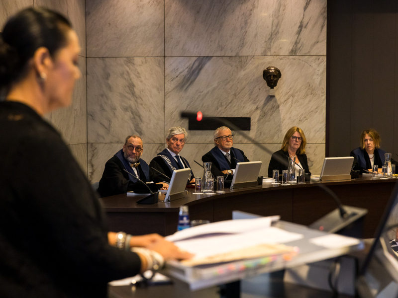 Stem Geven Aan Stille Verhalen