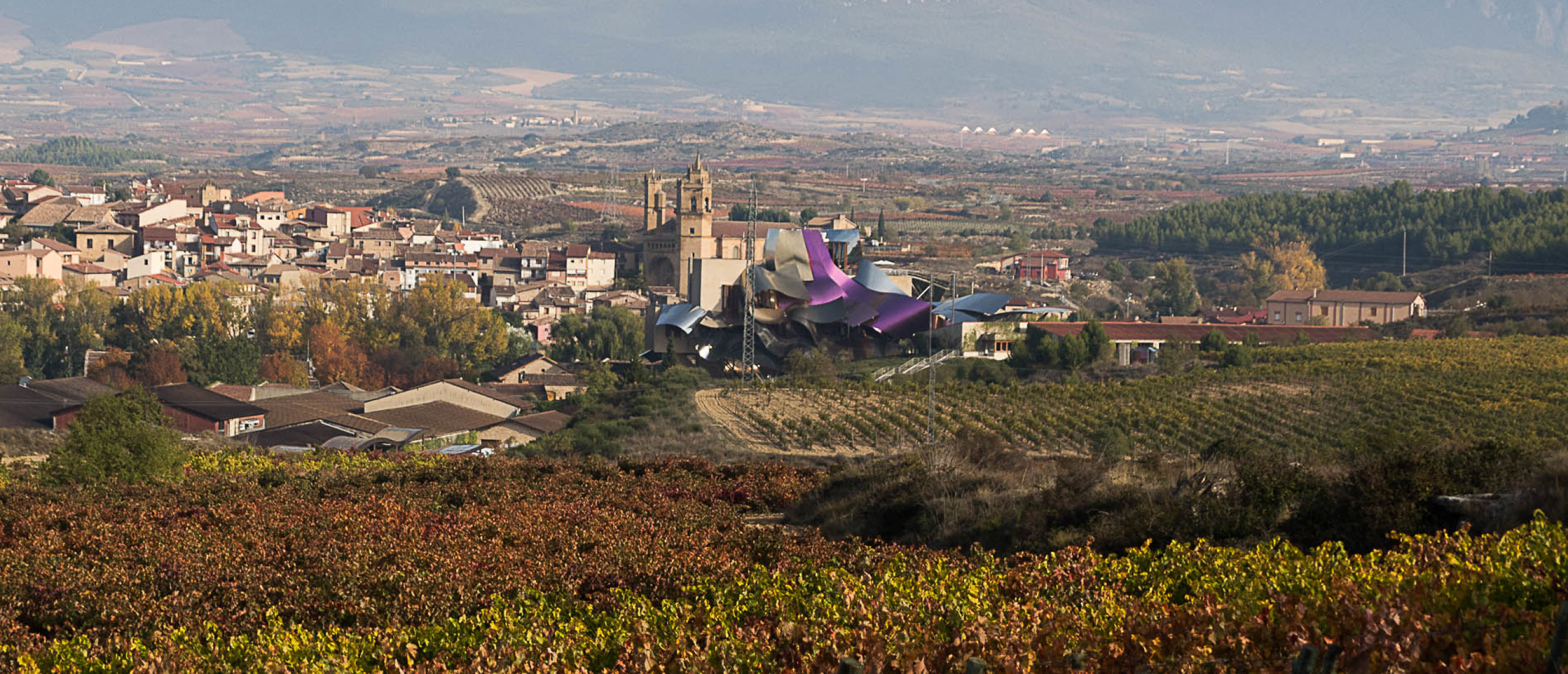 Combineer stedentrip Bilbao met de wijnen van Rioja