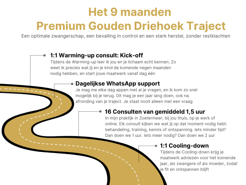 9 maanden traject roadmap
