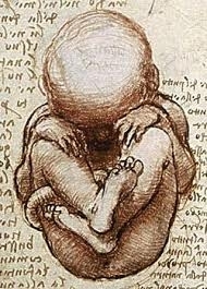 Tekening van Leonardo da Vinci van een moeder die haar kind draagt