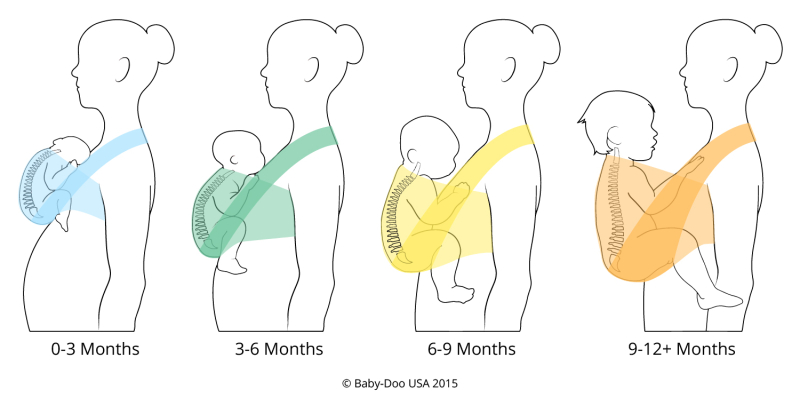 Ontwikkeling van de houding van de rug van een baby in de draagdoek