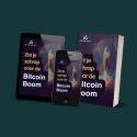 zet je schrap voor de bitcoin boom tuur demeester madelon vos rapport banner