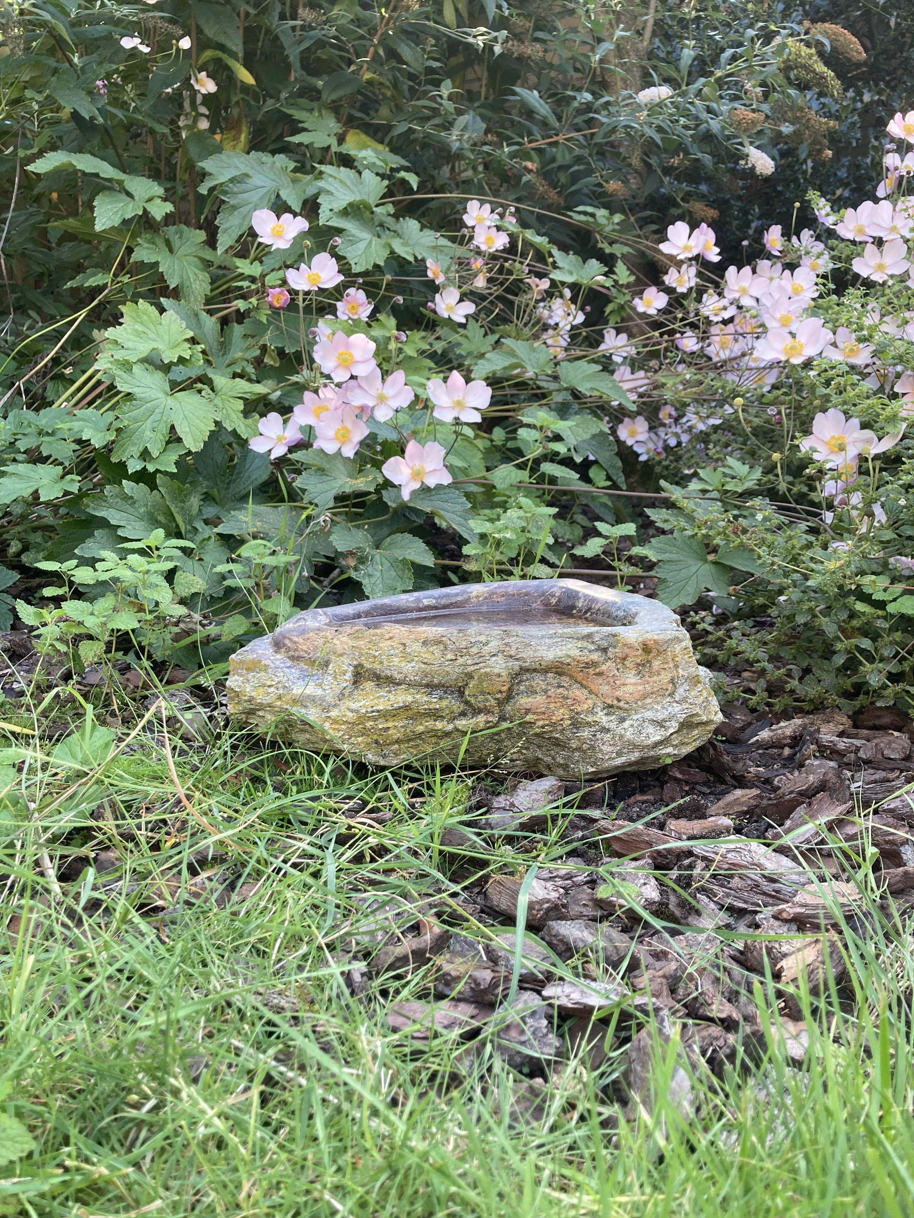 Beeld serpentijn vogeldrinkbak hagedis