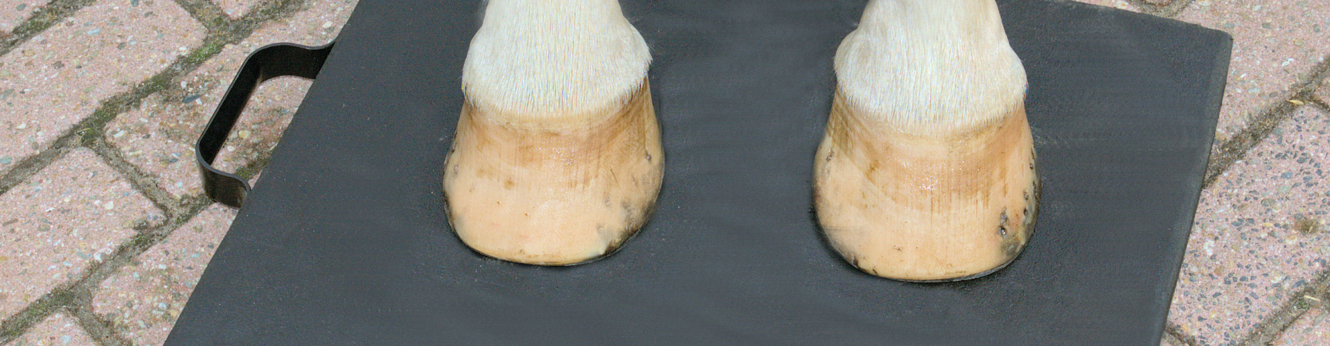 hoofpad, pemf therapy for feet problems of the horse