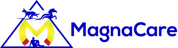 magnacare pemf therapy 1