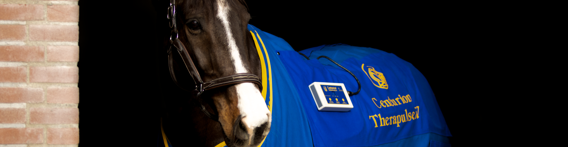 magnetic-blanket-for-horses