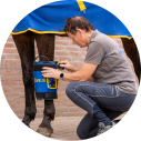 minipulse PEMF bandage for treatment of problems of the leg of a horse