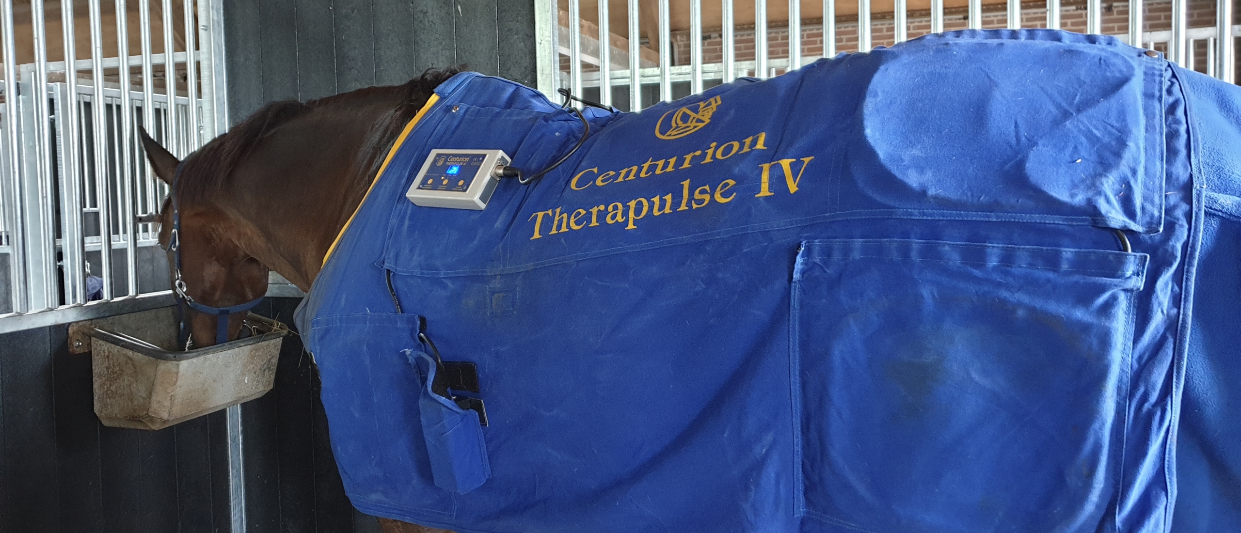 herstel met de therapulse herstel met de therapulse