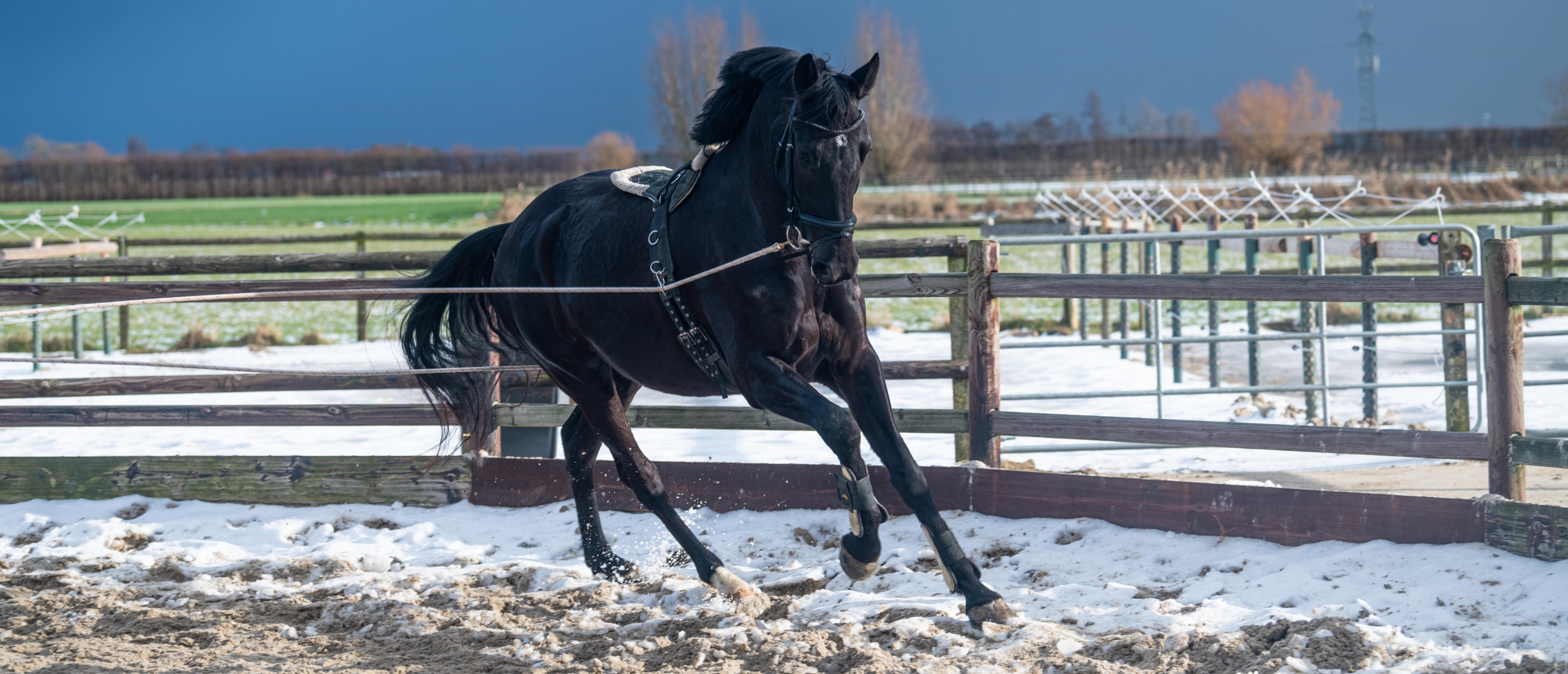 sneeuw en ijs als mogelijke oorzaak zoolkneuzing