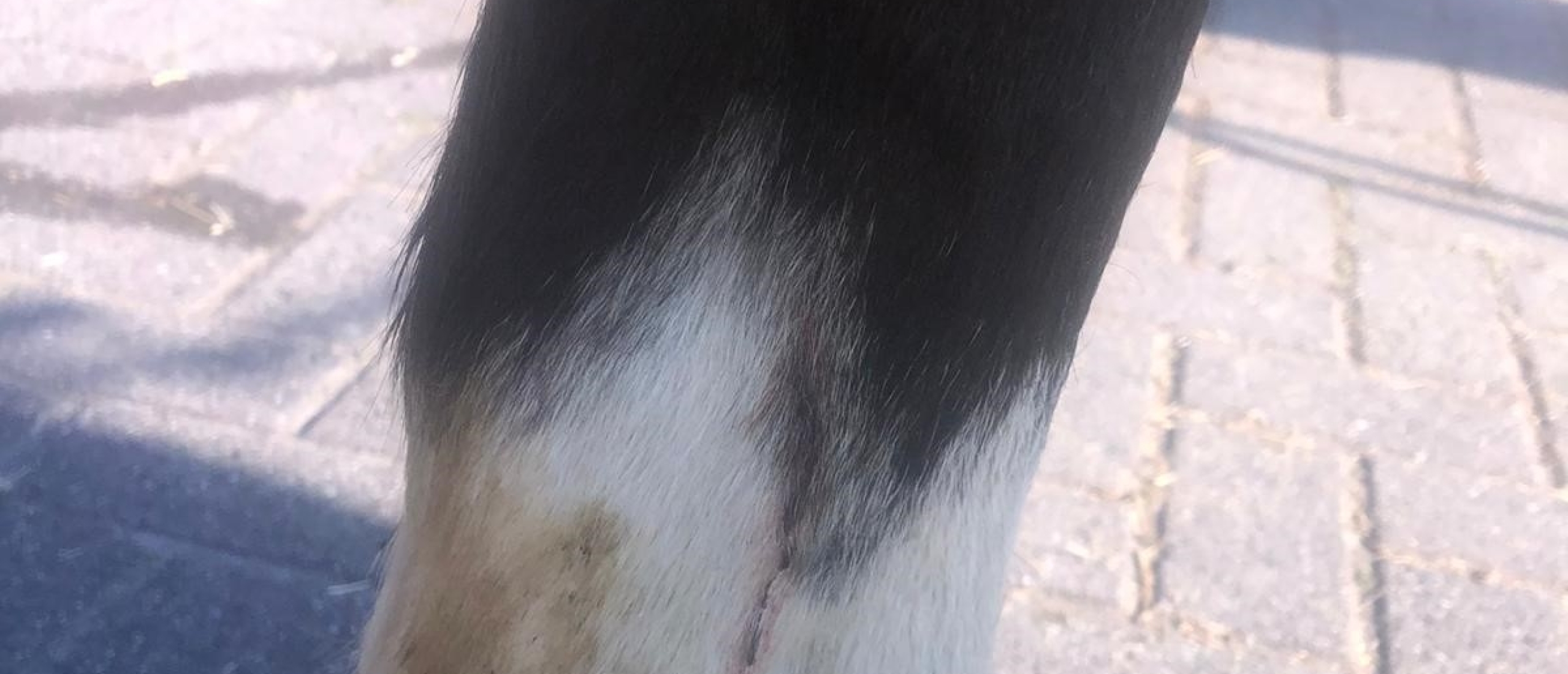 blessure-door-trauma