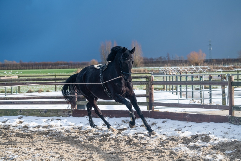 longeren in de winter