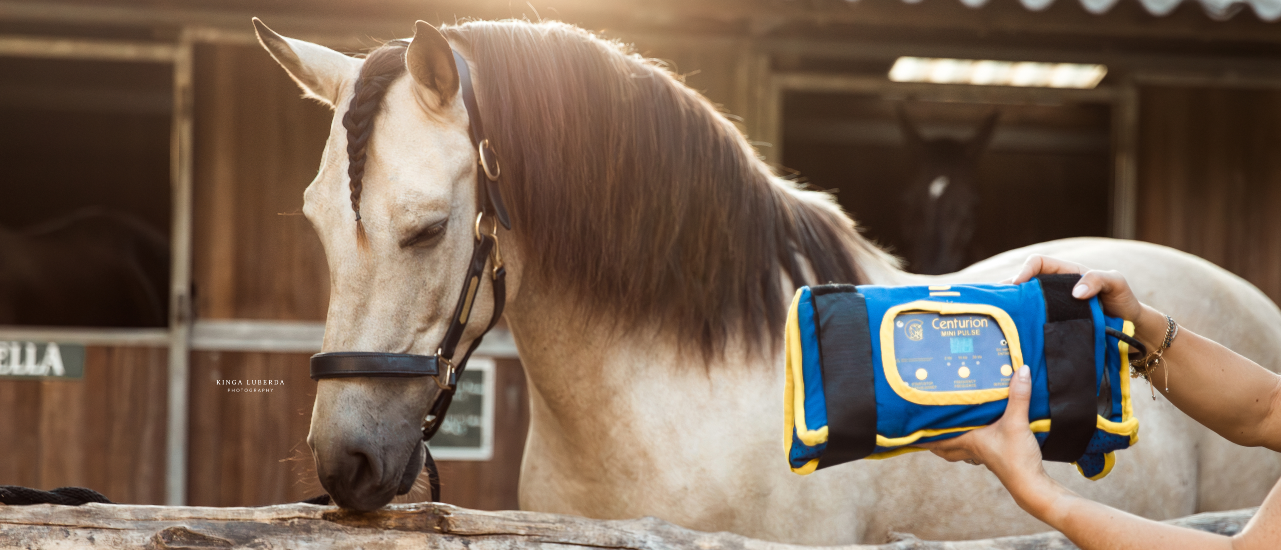 minipulse voor behandeling van blessures van een paard