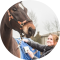rosanne-tijssen-van-zelst gebruikt therapulse in haar werk als paardensportmasseur