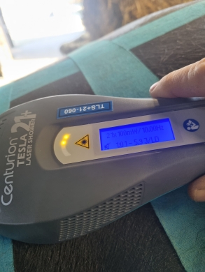 laser bij behandeling van paardenrug