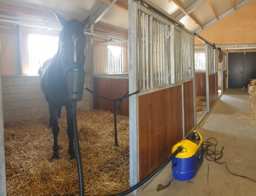 transpitor voor allergisch paard