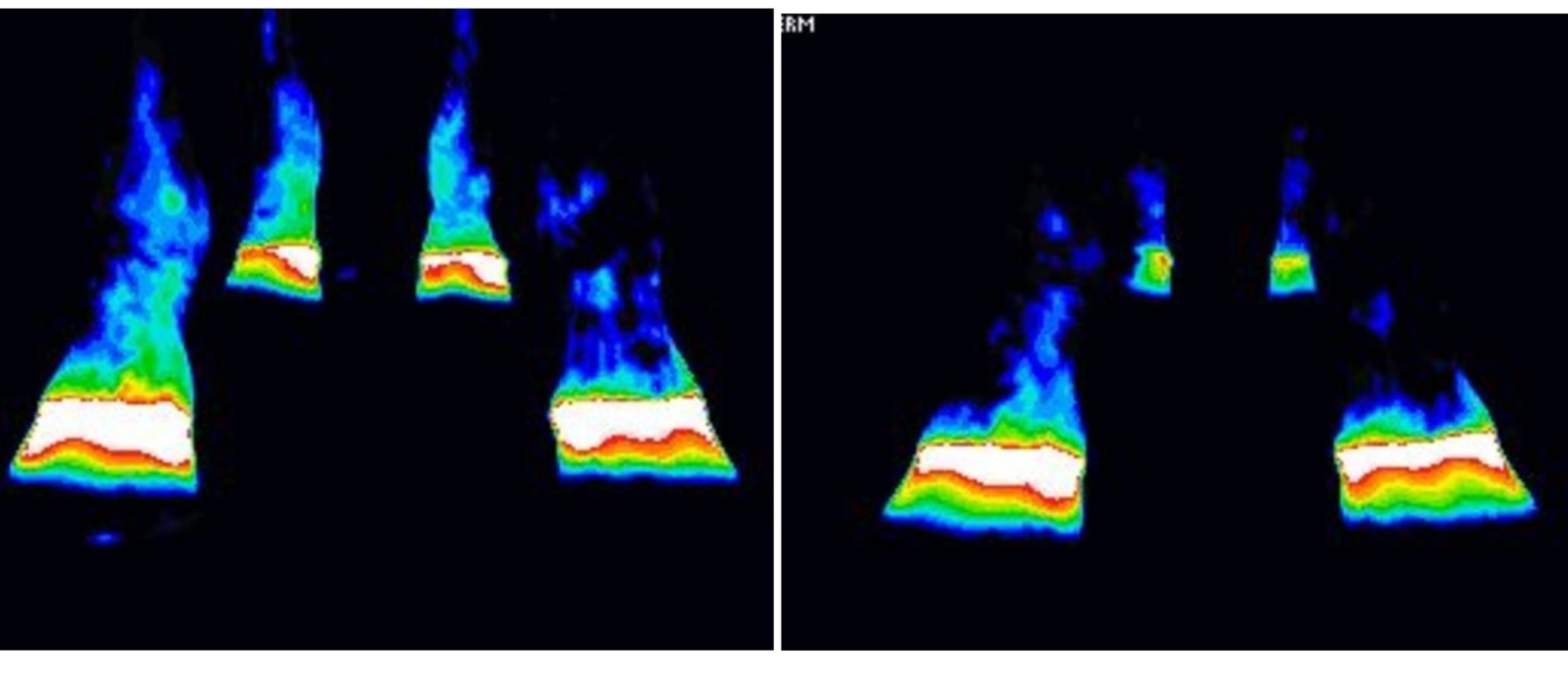 warmtebeelden-hoefbevangenheid-voor-en-na-magneetveldtherapie