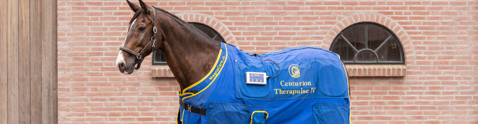 therapulse magneetvelddeken therapulse magneetvelddeken voor behandeling van paarden