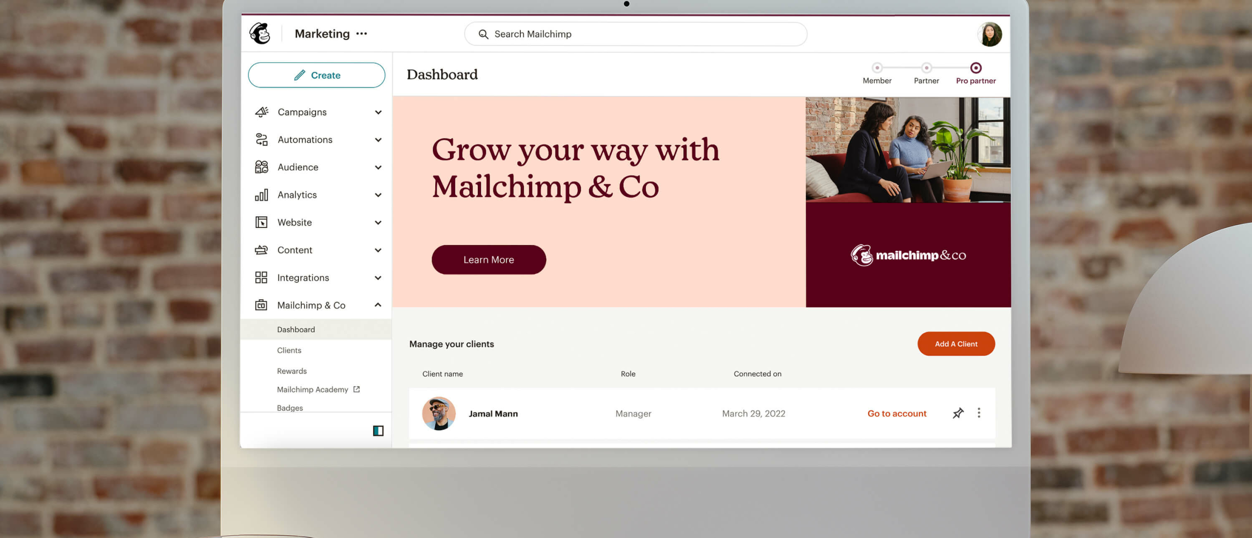 Mailchimp & co mockup pc