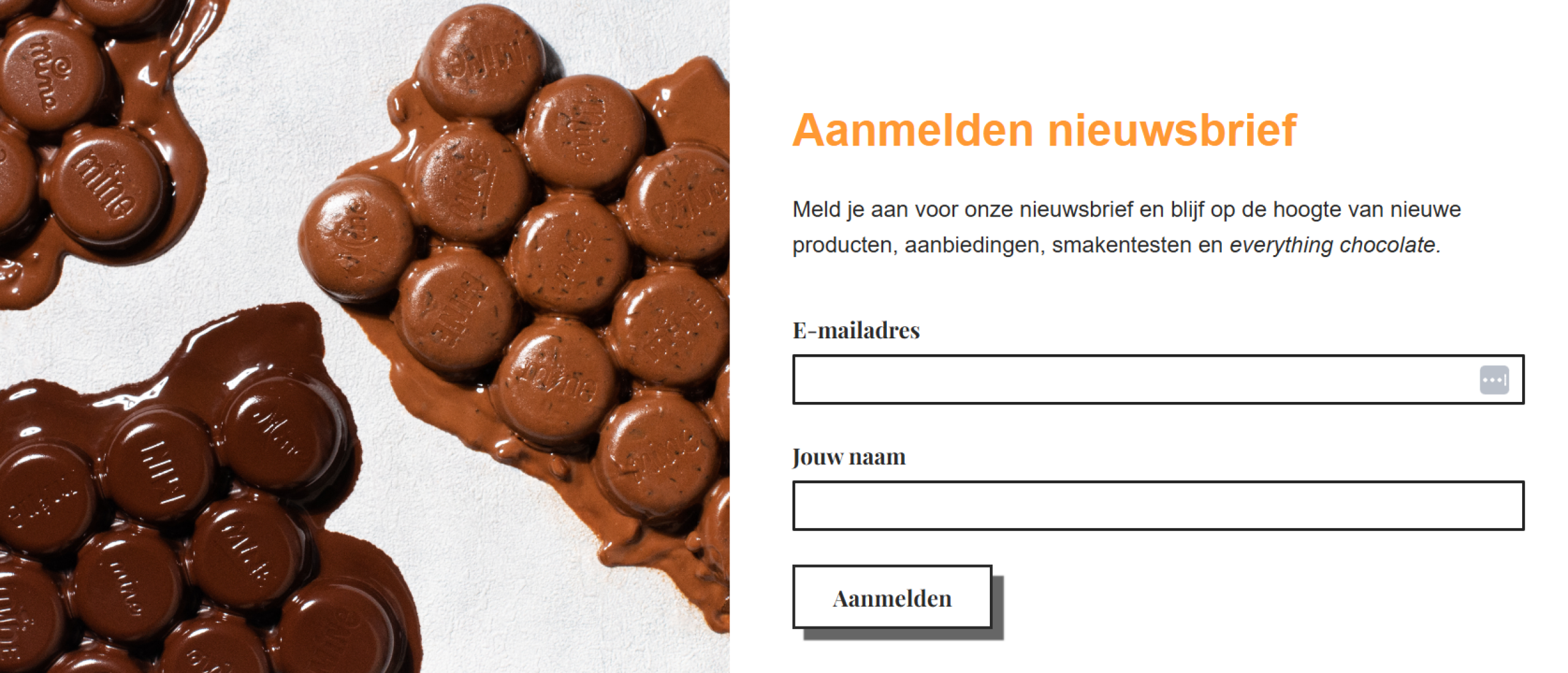 Schermafbeelding landingspagina nieuwsbrief Hands Off Schermafbeelding landingspagina nieuwsbrief Hands Off