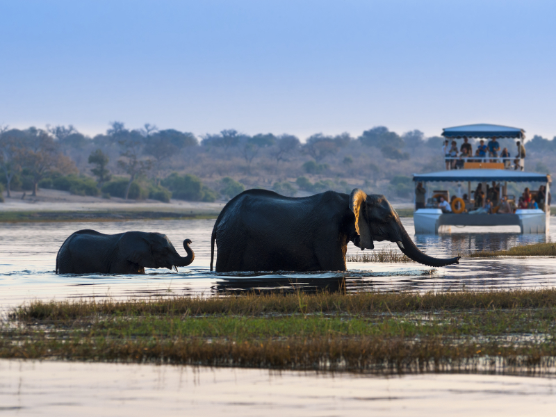 Botswana Chobe National Park Boat Safari