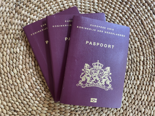 Passports travelling to Africa