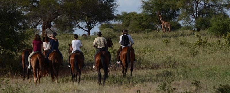 Arusha Horse Back safari