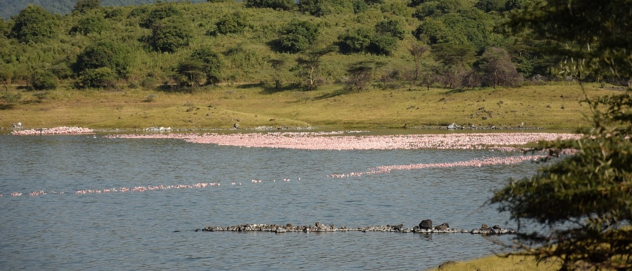 Arusha Lake Momella Tanzania