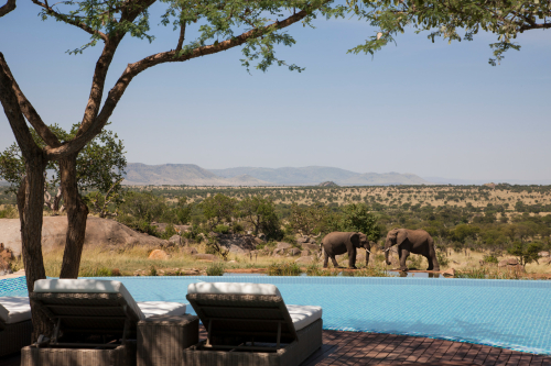 Four Seasons Serengeti