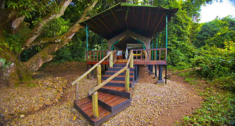 Gombe stream national park Tanzania tent