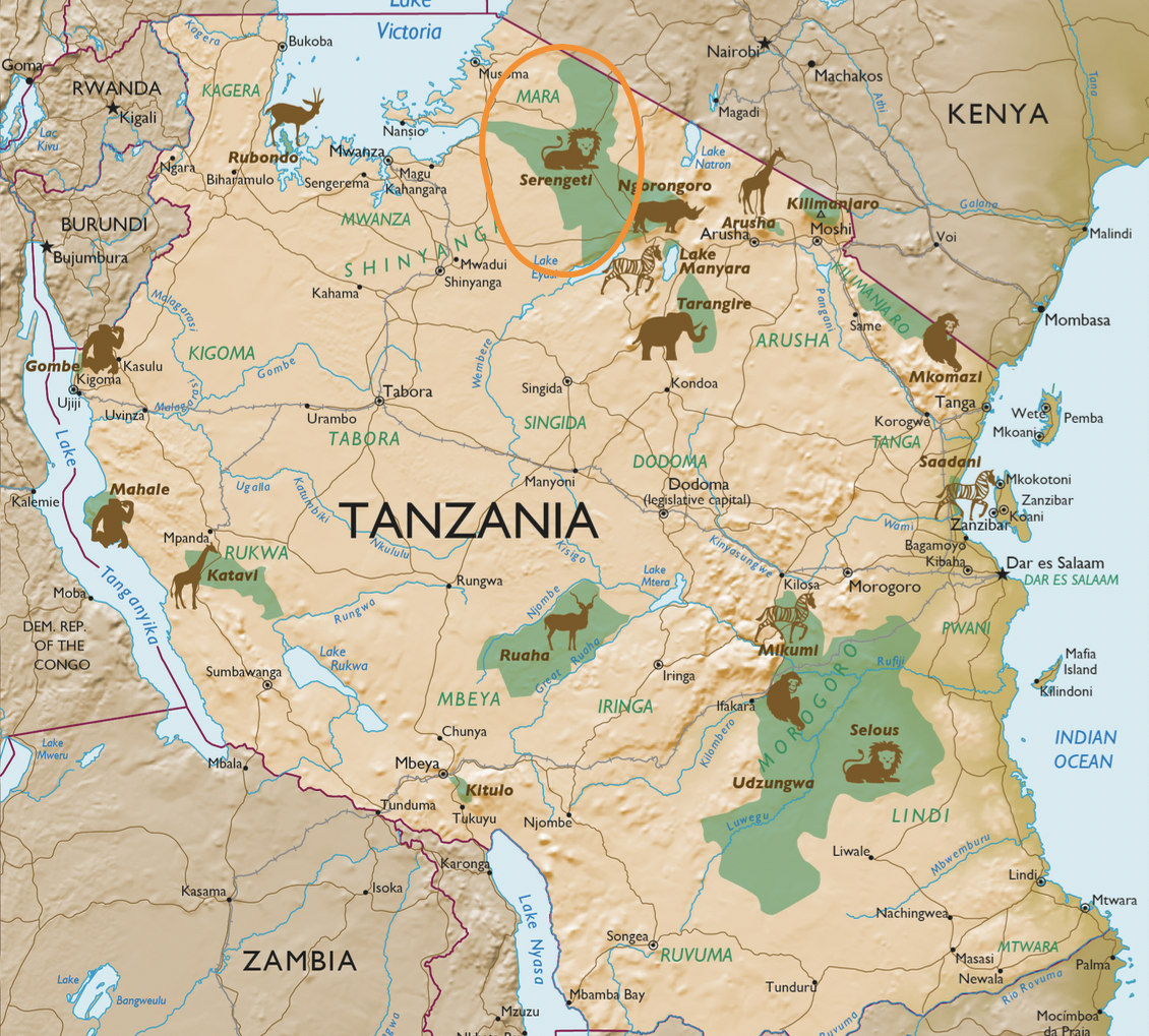 Serengeti National Park | Makasa Tanzania Safaris