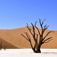 Namibia reizen