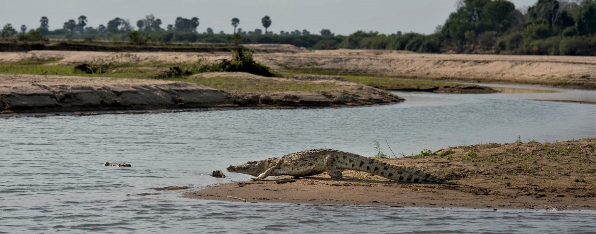 Nyere National Park Tanzania