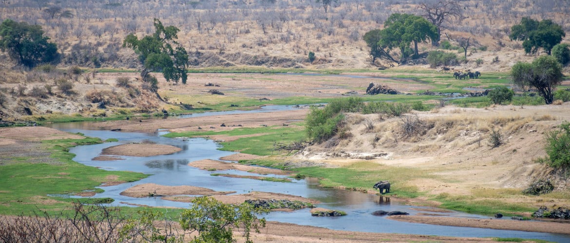 Ruaha National Park