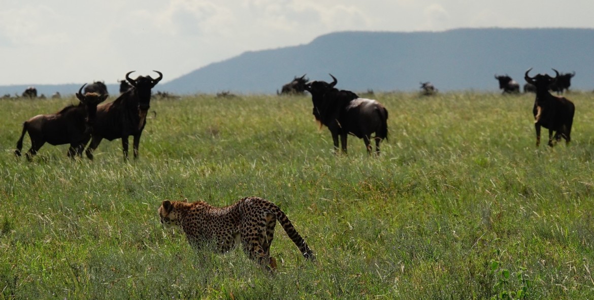 Serengeti National Park