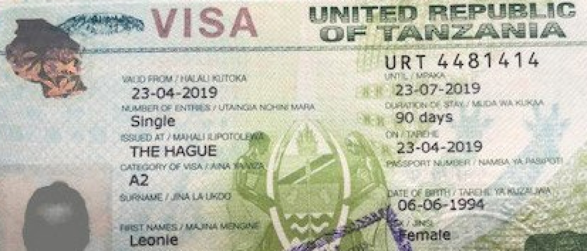 tourist visa to usa from tanzania