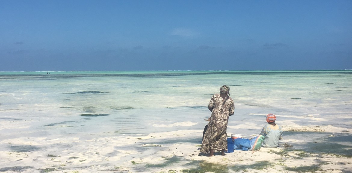 Travel Experience Tanzania Zanzibar