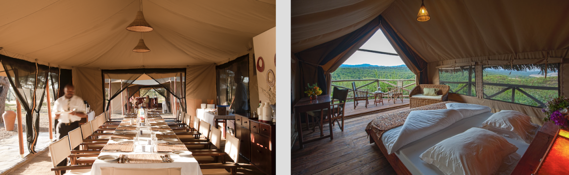 Tented camp Glamping Safari Tanzania