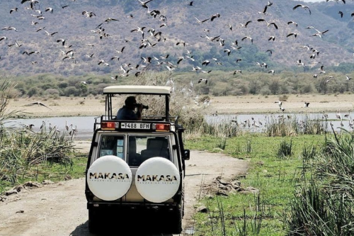 Tanzania-Safari-Holiday-Makasa-Jeep