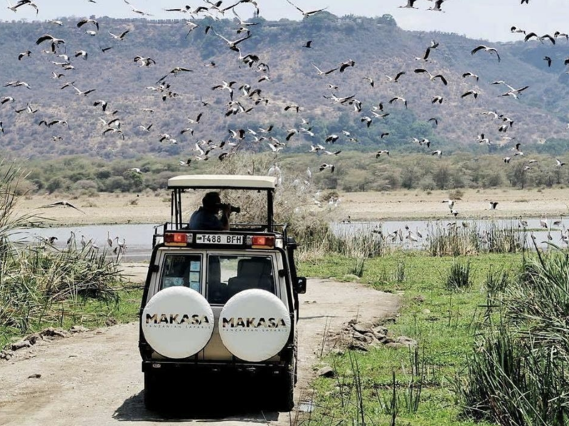 Tanzania-Safari-Holiday-Makasa-Jeep