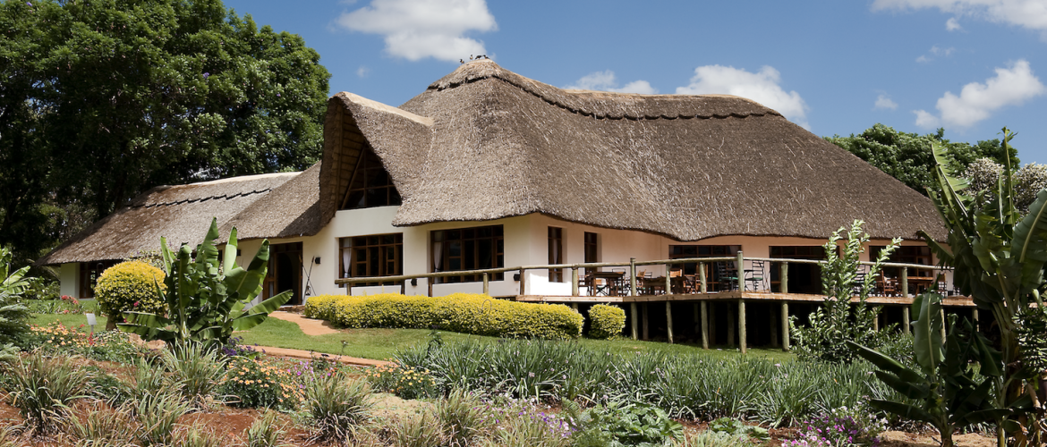 Tanzania Safari lodges | Safari hotels