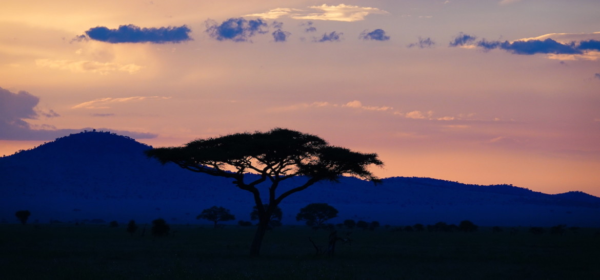 What is a Sundowner on safari?