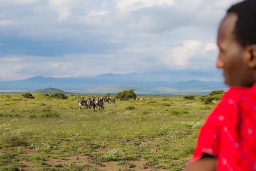 wandelsafari in Arusha nationaal park - tanzania safari