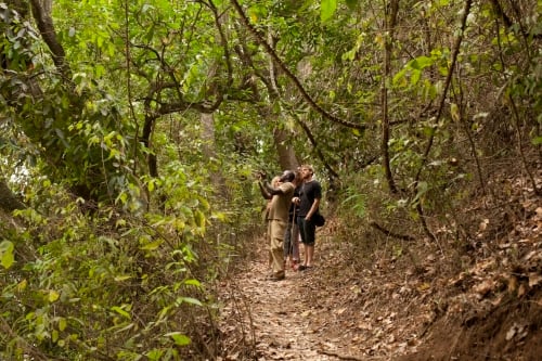 Arusha Lake Duluti Nature Walk Tanzania