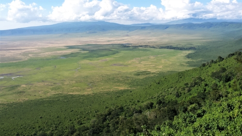 Ngorongoro Krater (Caldera)