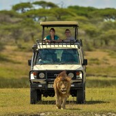 Tanzania vakantie: bezoek serengeti np