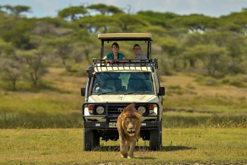Tanzania vakantie: bezoek serengeti np