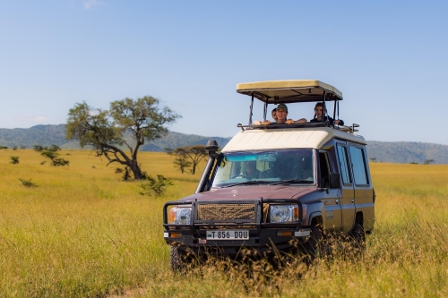 Ontdek Serengeti National Park, Tarangire National Park of Lake manyara National Park